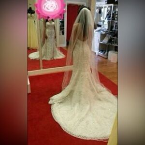 Sparkly Ivory Cathedral Length Veil